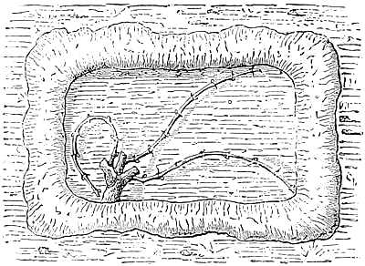 Triple &lsquo;Provinage&rsquo;