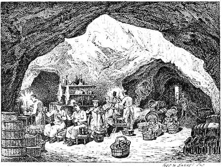 Cellars of M. Louis Duvau A�n�