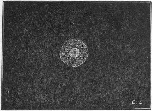 Fig. 22.&mdash;Holmes&rsquo;s Comet, Nov. 9, 1892 (Denning).