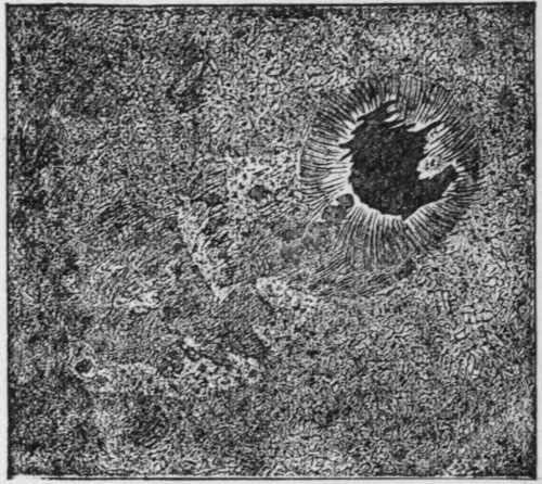 Fig. 5.&mdash;Ordinary Sun-spot, June 22, 1885.