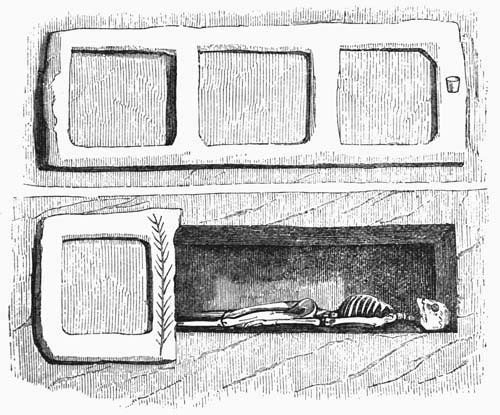 Illustration: Fig. 6.&mdash;Loculi&mdash;Open and Closed.