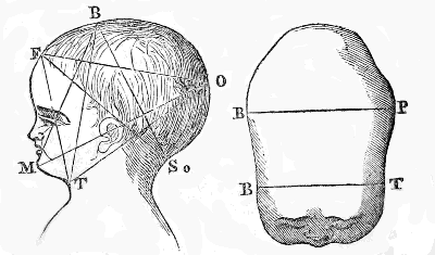 Diameters
of the Head
