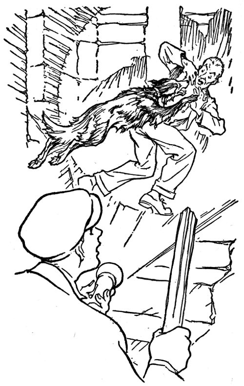 &ldquo;The dog had found the Fugitive&rdquo;