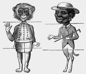 artists'
menagerie drawings