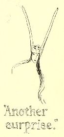 “Another
surprise.”