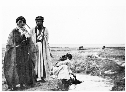 Fig. 63.&mdash;’AIN ZA’ZU.