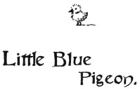Image unavailable: Little Blue
Pigeon.