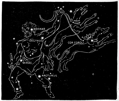 BOOTES AND HIS HUNTING DOGS.