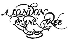 A LONDON
PLANE TREE
