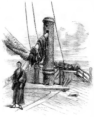 THE HELMSMAN AT HIS POST.