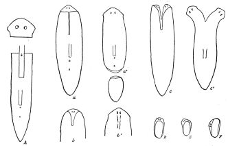 [Image unavailable.]