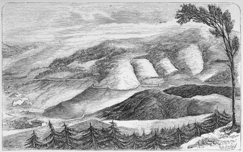 Plate 8.&mdash;Coffee District near Puselawa, Ceylon.