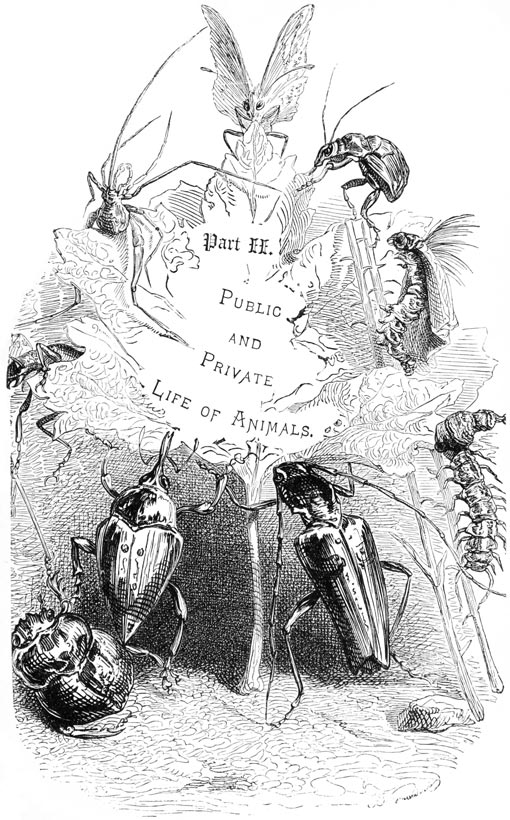 Part II. Public and Private
Life of Animals.