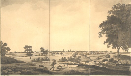 East View of Lynn Regis, pub. May 1, 1812 by W. G. Whittingham,
Lynn.  Draw J. Sillett, engraved J. Hassell