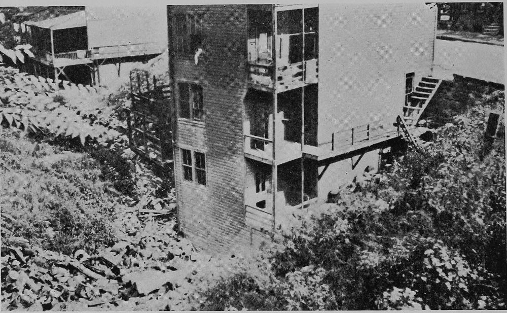 Rear View of Tenement Near Soho Dump. Note Refuse on
Left and Street Level on Right.
