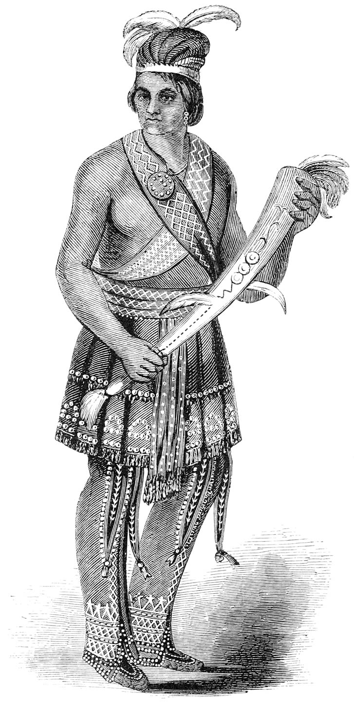 A SENECA INDIAN IN COSTUME.