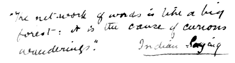 The network of words is like a big forest: it is the
cause of curious wanderings