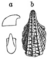 Fig. 767.