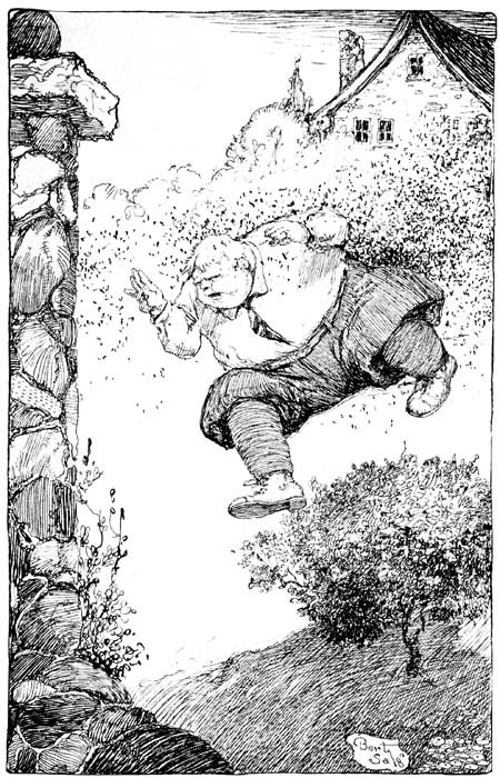 HE TOOK TO HIS HEELS AS TWENTY-SEVEN MILLION HORNETS
SWOOPED DOWN AT HIM