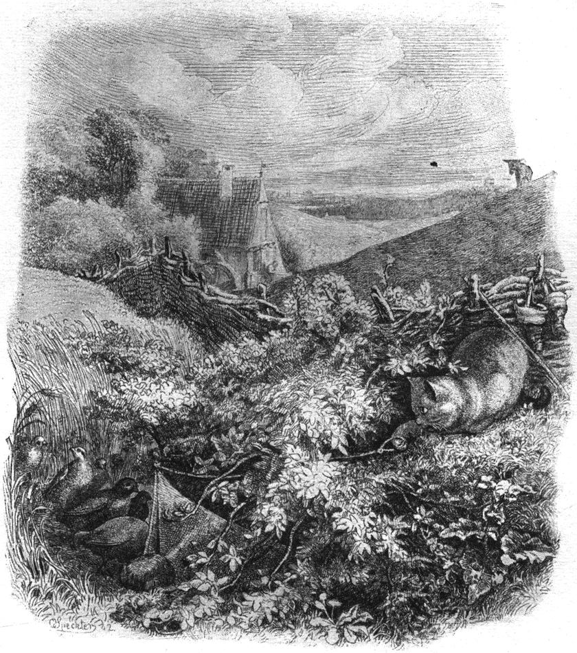 Aus dem 'Gestiefelten
  Kater'