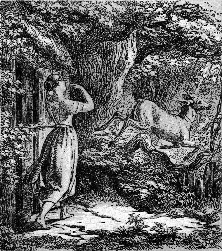 Aus 'Brüderchen und
  Schwesterchen'