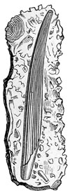 Fig. 63.