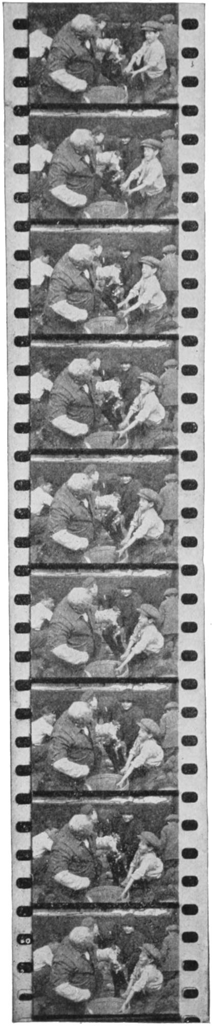 Film strip