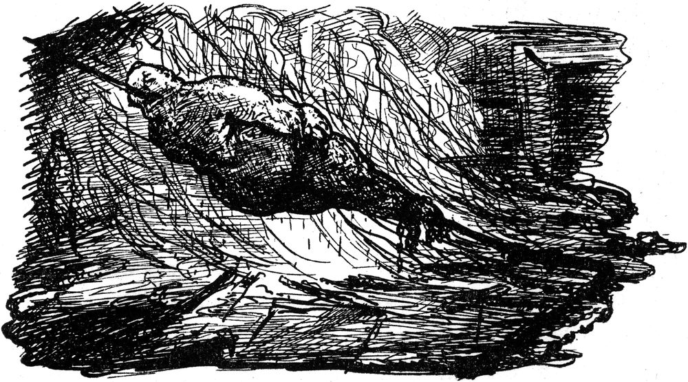 Doktor Lampenbogen am
  Bratspieß