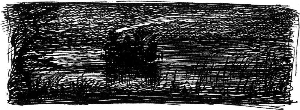 Mit der Lokomotive durch
  den Sumpf