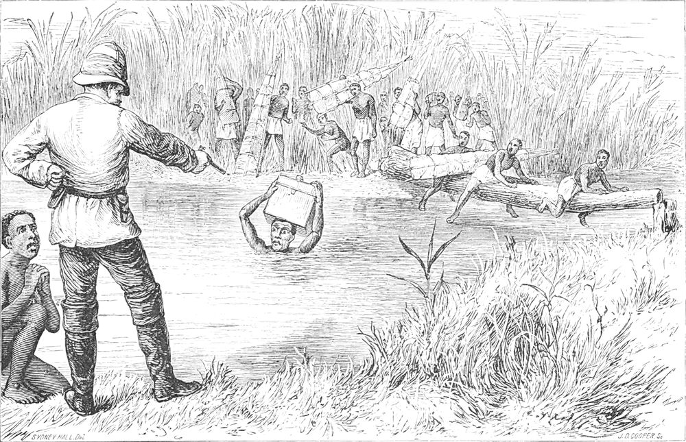 Livingstones
  Aufzeichnungen in Gefahr