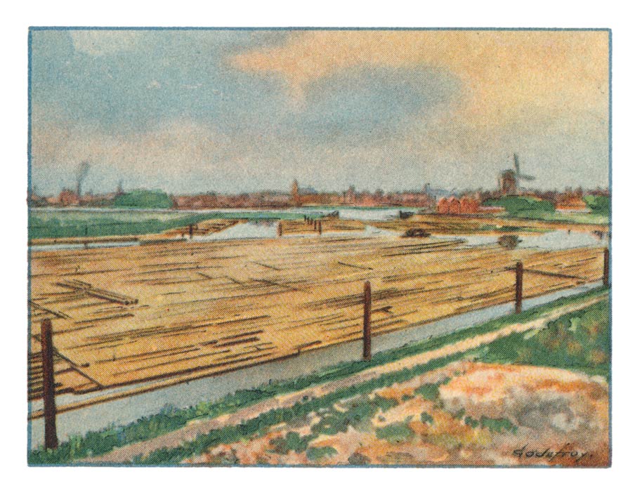 75. ZWIJNDRECHT, Houthaven