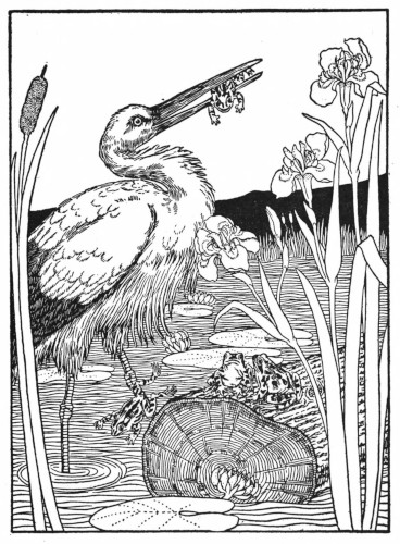 Frogs and their King