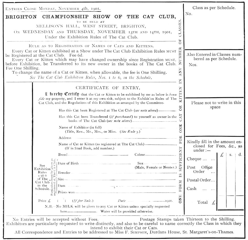 BRIGHTON CHAMPIONSHIP SHOW OF THE CAT CLUB