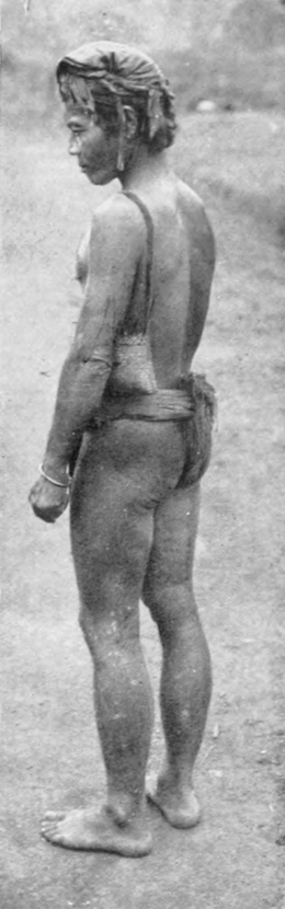 Träger, von schräg hinten
  gesehen