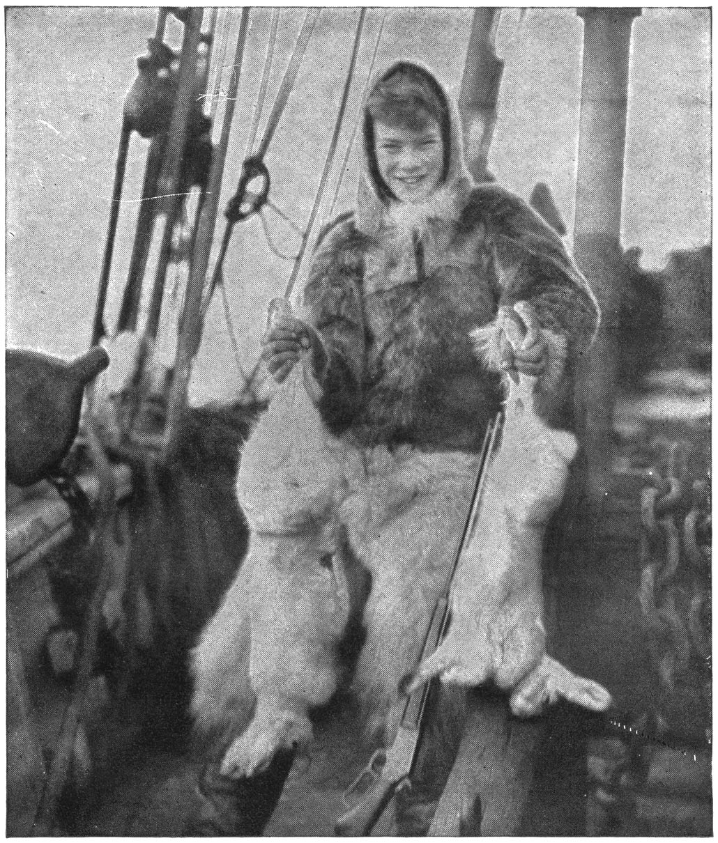 Twee Sneeuhase van Pond-Baai