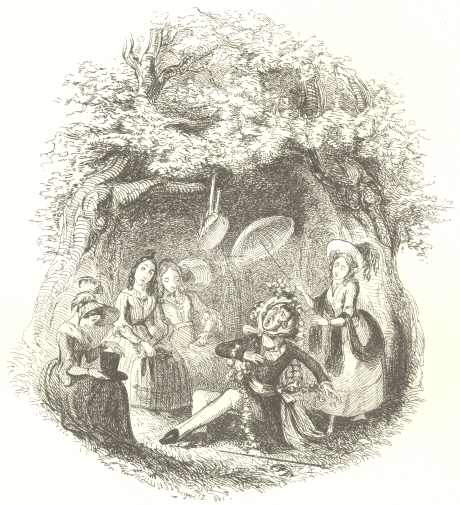 The Young Ladies&rsquo; Young Gentleman